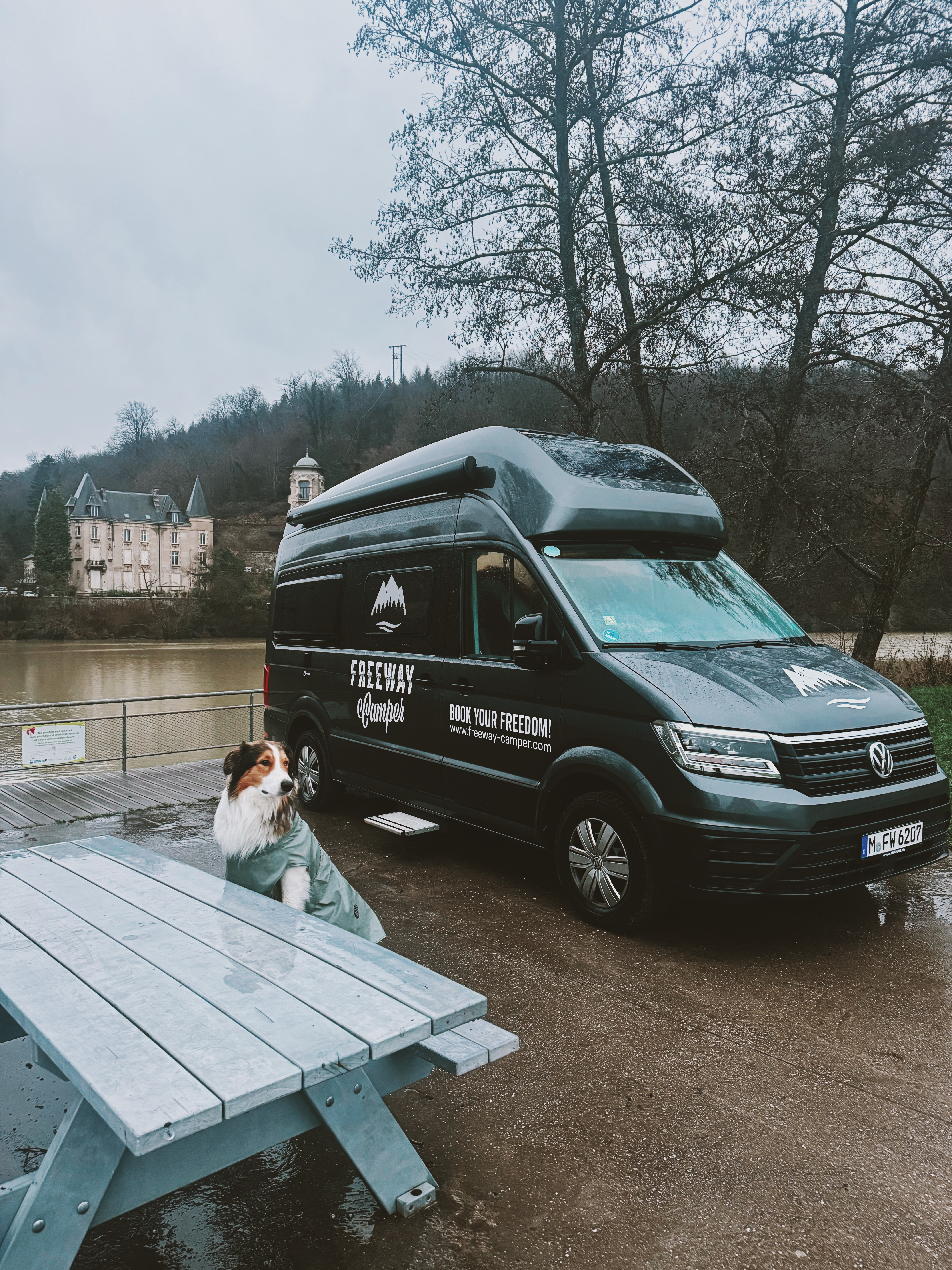 Hund auf einem Campingplatz mit Schloss im Hintergrund 