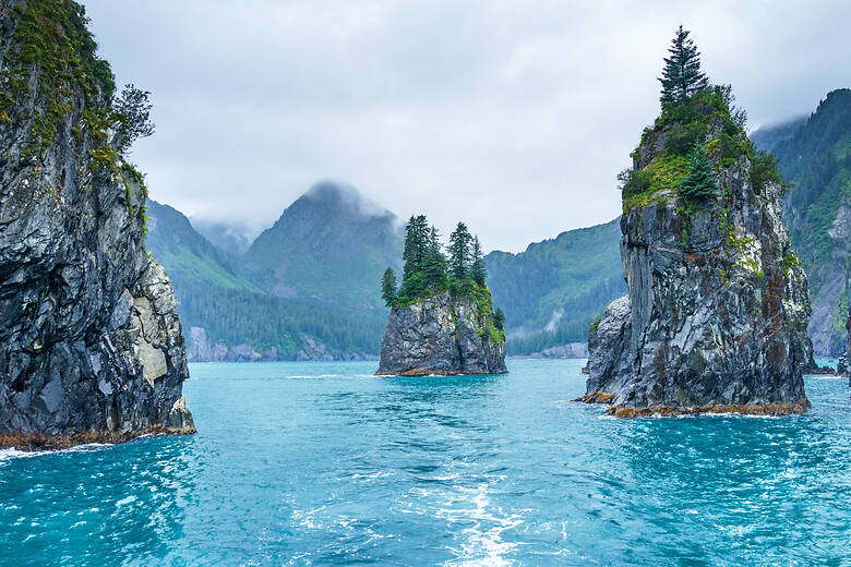 Baumbewachsene Felsen im blauen Wasser an einem bewölkten Morgen, Porcupine Bay, Kenai-Fjords-Nationalpark, Alaska