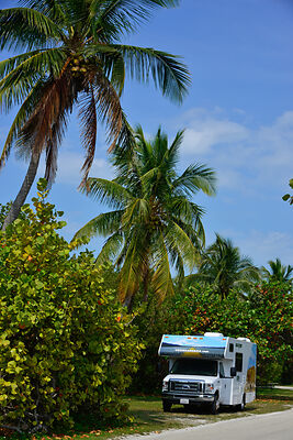 Wohnmobil in Florida unter Palmen