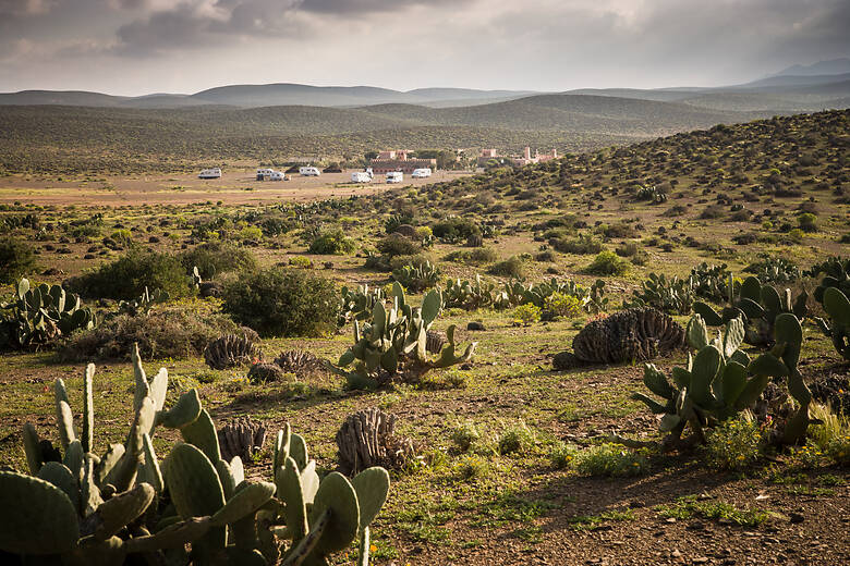 Campingplatz mitten in der Natur in Marokko, Kakteen im Vordergrund