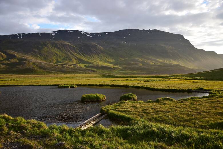 Berge und Gras im Norden von Island