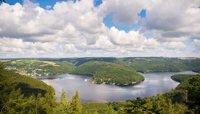 Blick auf einen Fluss im Nationalpark Eifel