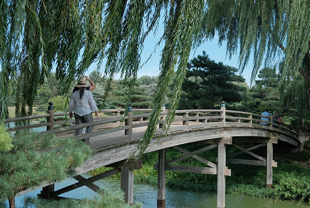 Brücke in Chicago Botanic Graden.