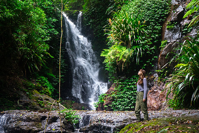 Burleigh Heads National Park near Gold Coast, Queensland, Australia