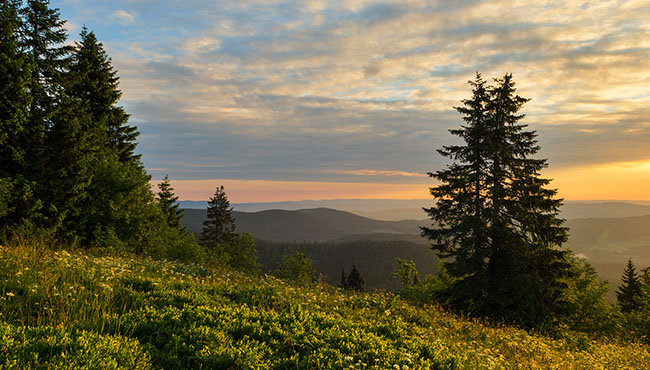 Der Feldberg im Schwarzwald