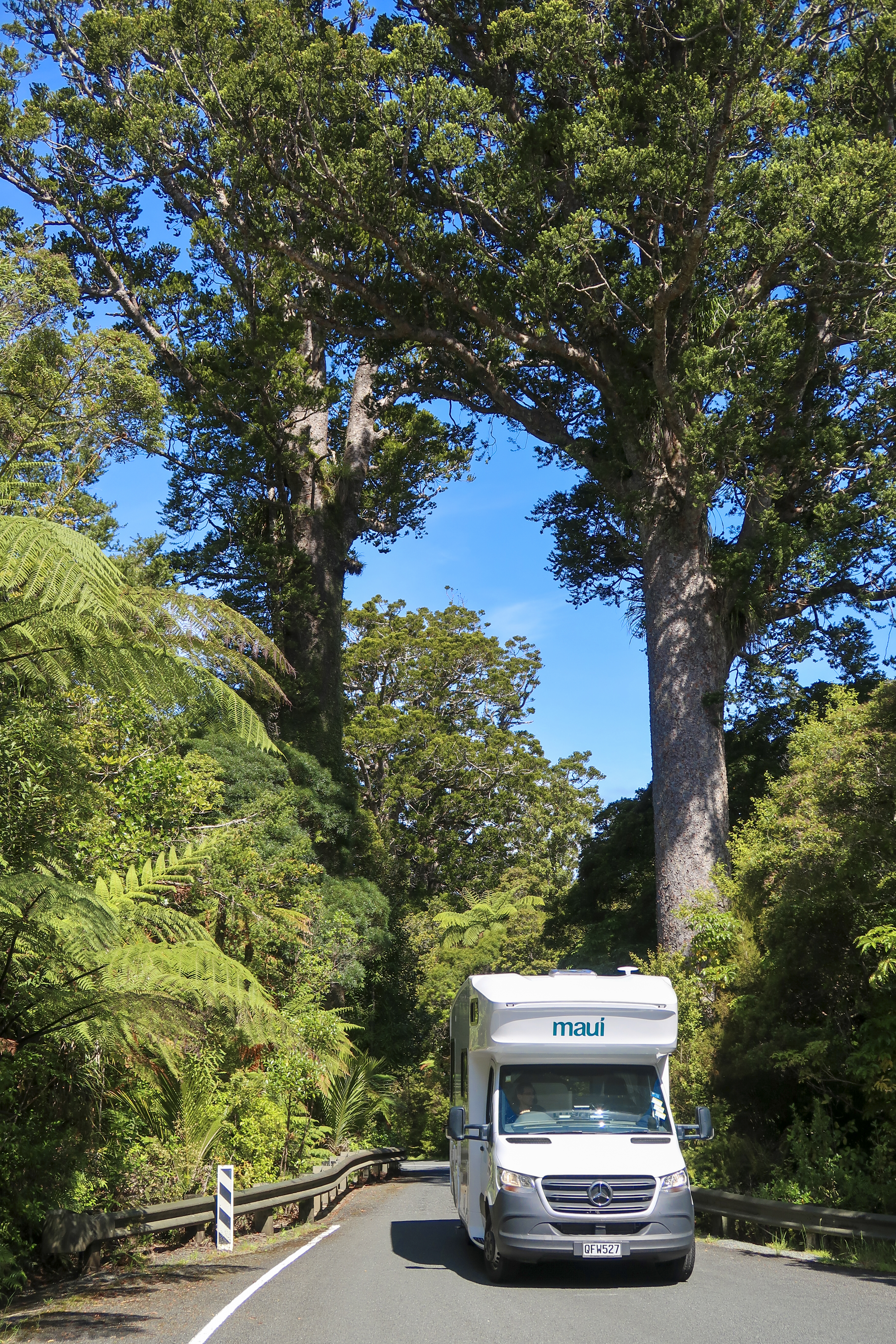 Wohnmobil fährst durch den Waipoua State Forest auf Neuseelands Nordinsel 