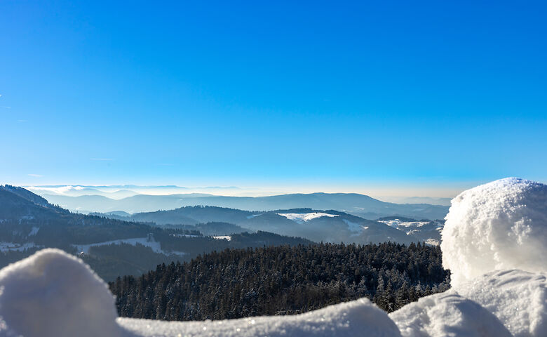 Panorama sull'Alsazia in inverno