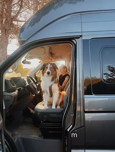 Frau und Hund im Camper