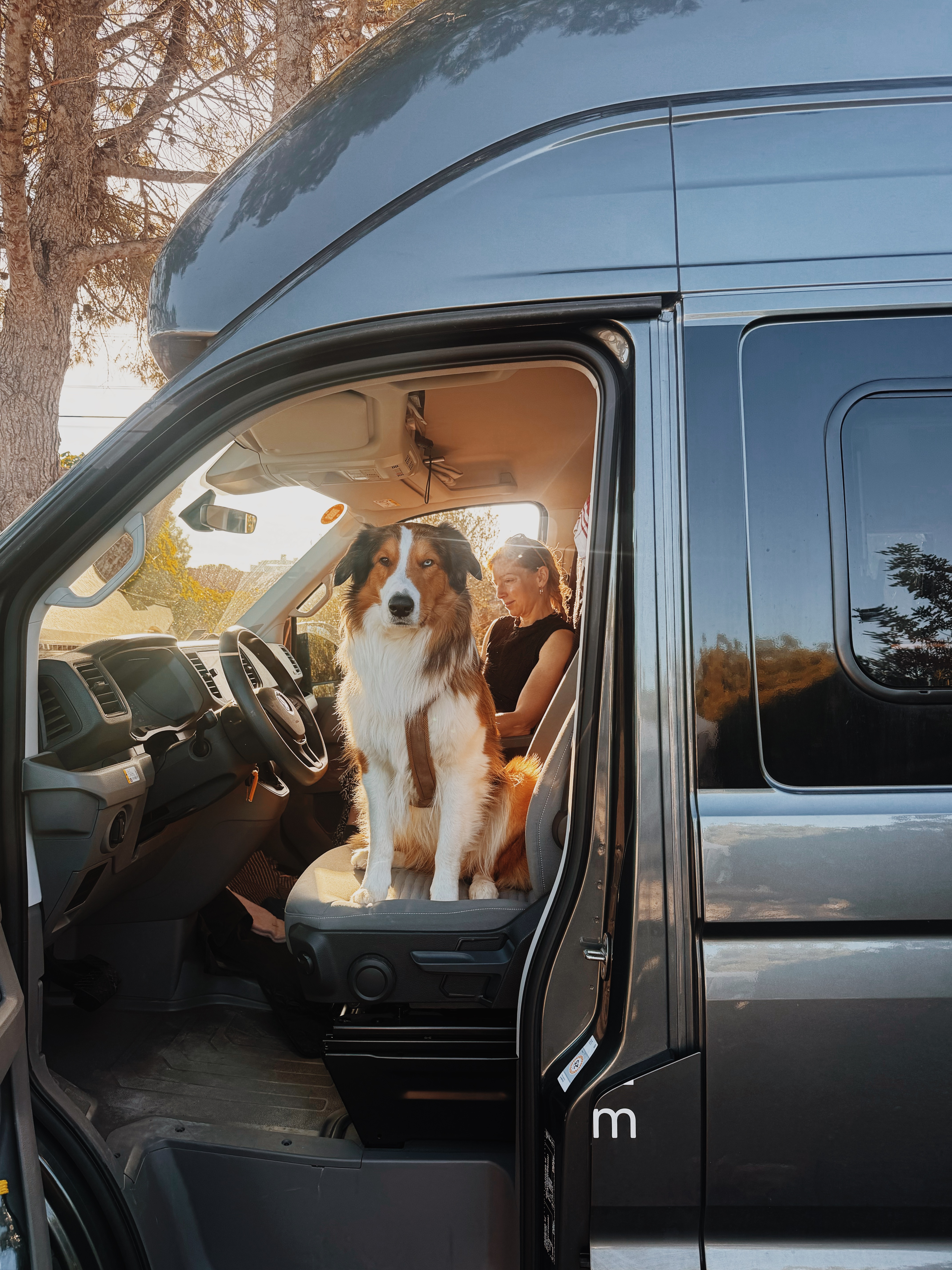 Frau und Hund im Camper 