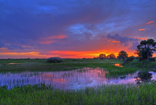 Everglades national parc in Miami Florida