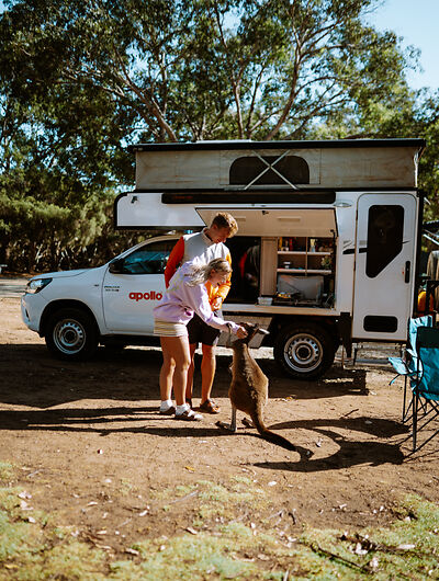 Camping in Australien mit Kängurus