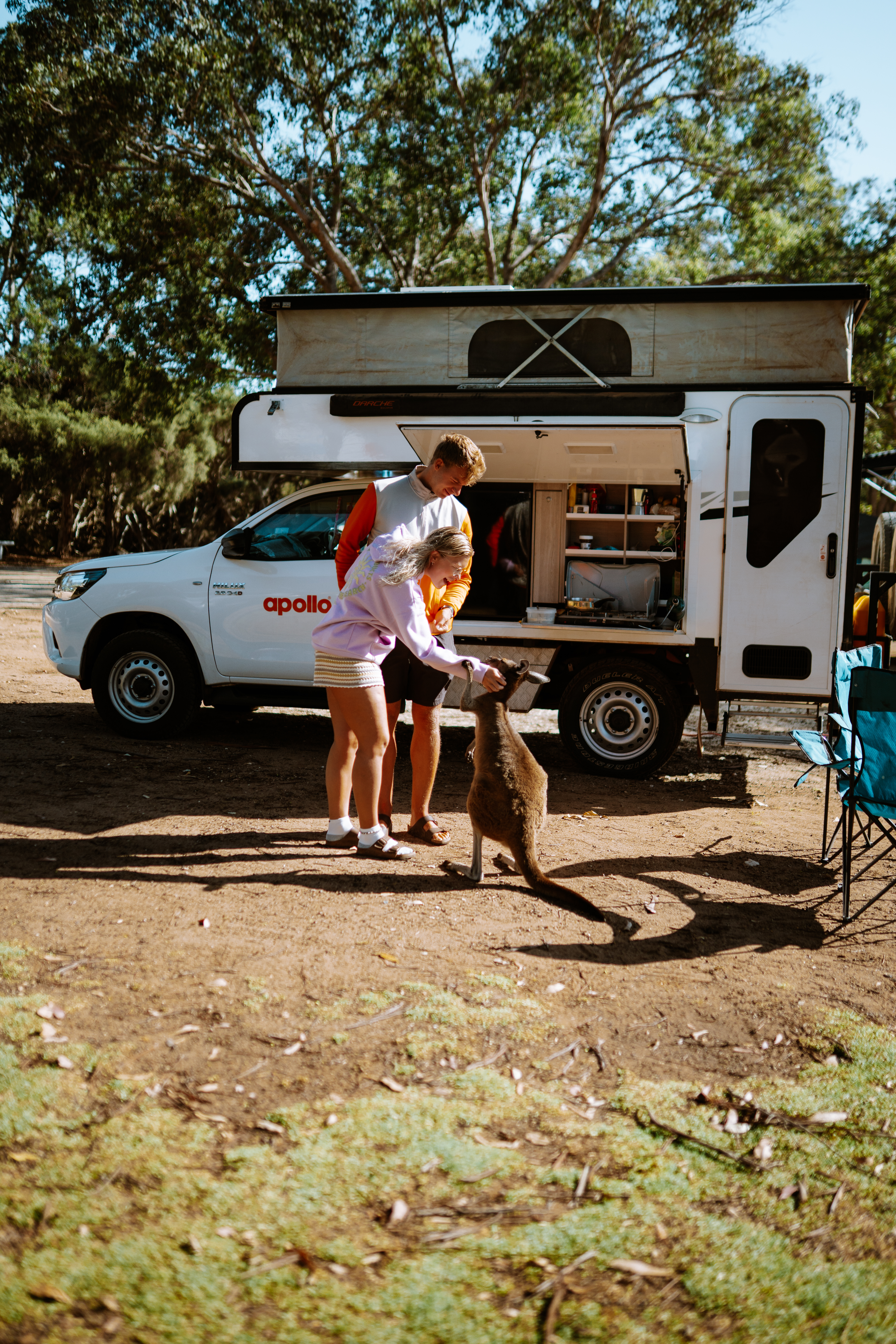 Camping in Australien mit Kängurus