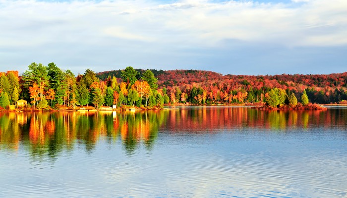 Wald von bunten Herbstbäumen spiegelt sich in ruhigen See in Ontario, Kanada