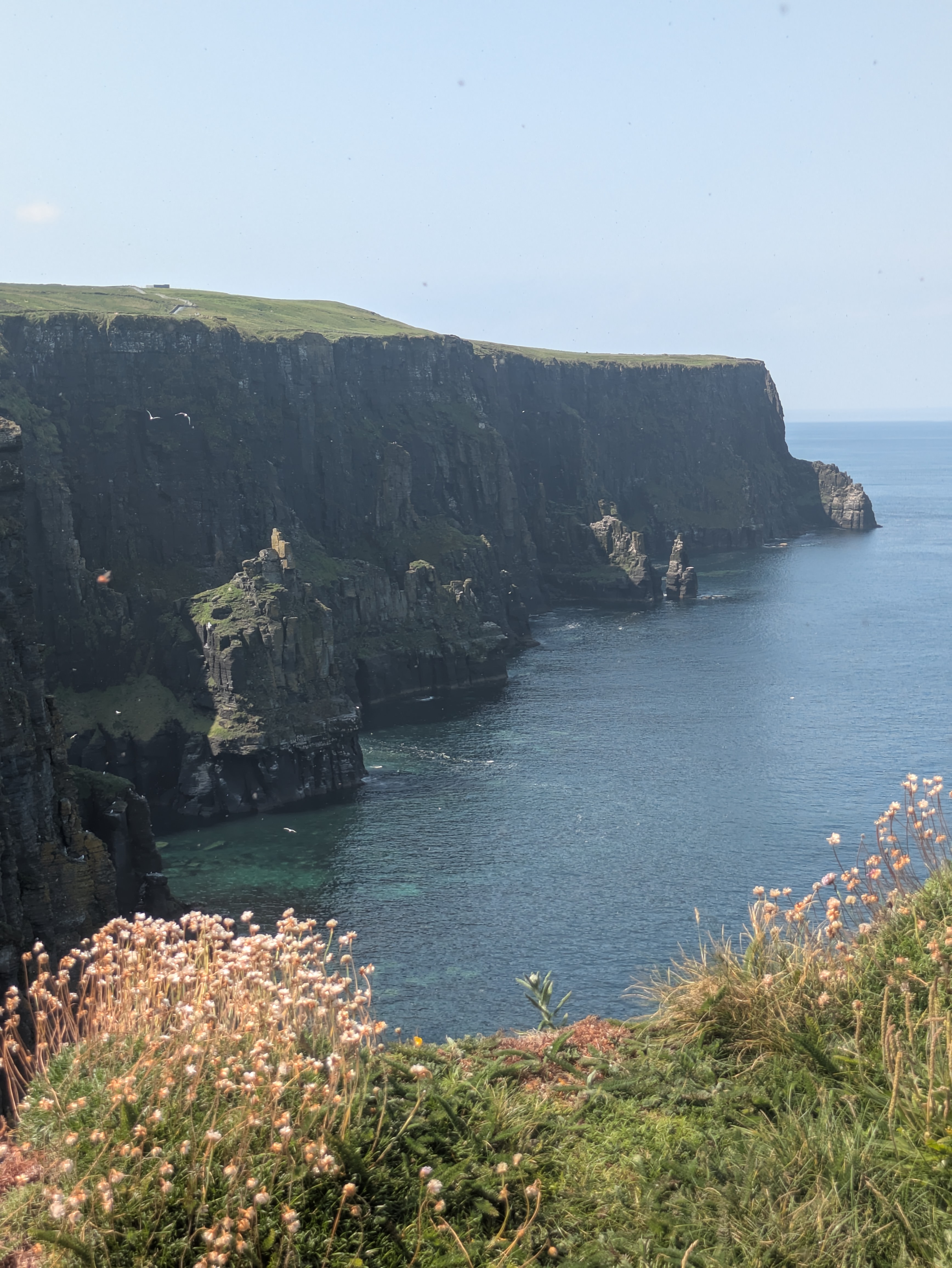Cliffs of Moher in Irland 