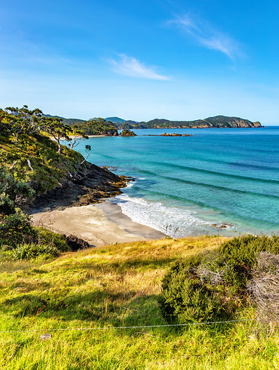 Strand auf der Nordinsel von Neuseeland 