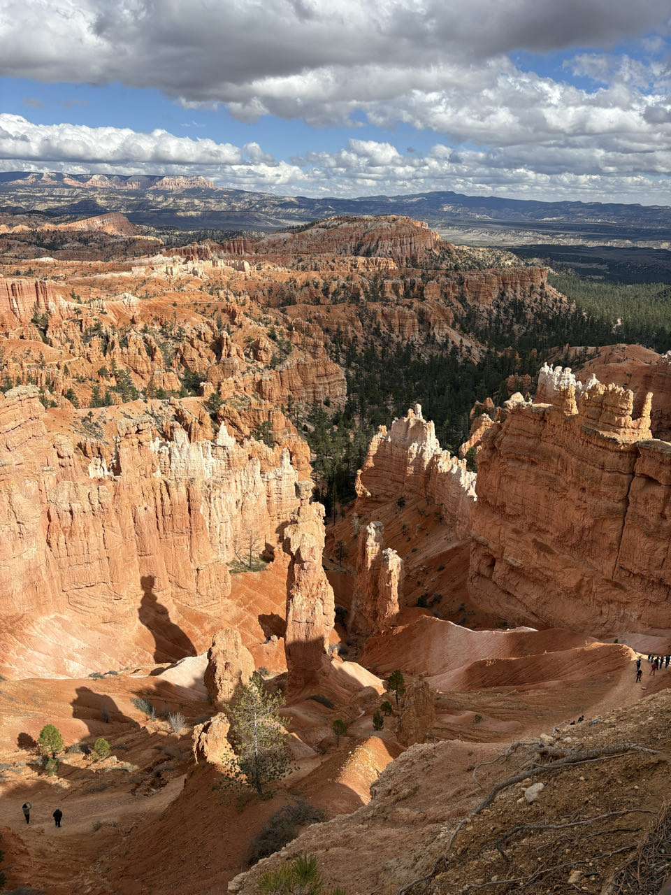 Hoodos im Bryce Canyon National Park im Südwesten der USA