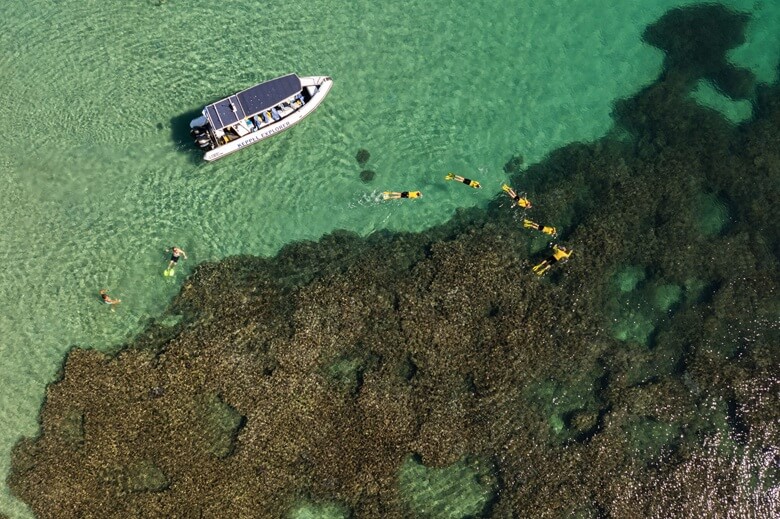 Menschen schnorcheln bei einem Bootsausflug in Australien