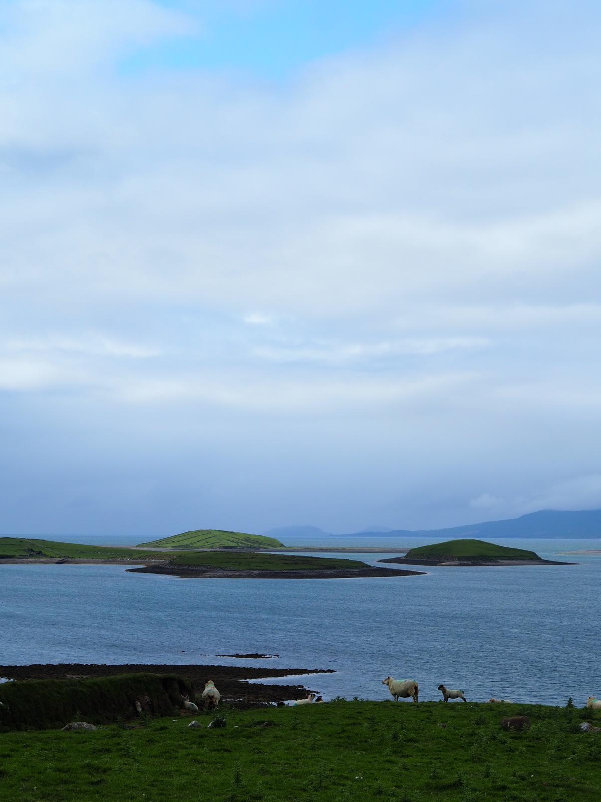 Uitzicht op de bergen en de zee vanaf de Wild Atlantic Way in Ierland 