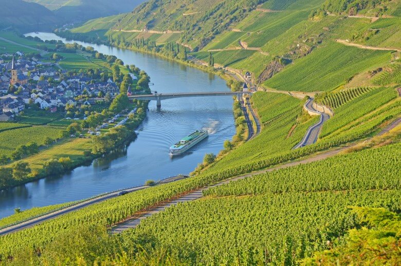 Campingplatz Trittenheim direkt an der Mosel mit Weinbergen