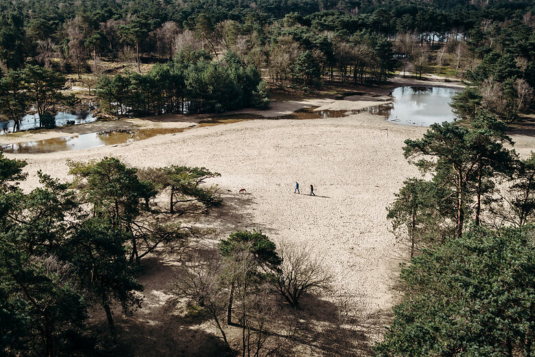 Nationaal Park Hollandse Duinen