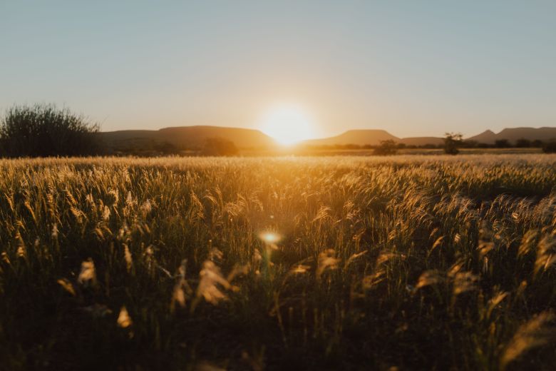 Untergehende Sonne über der Steppe in Namibia 