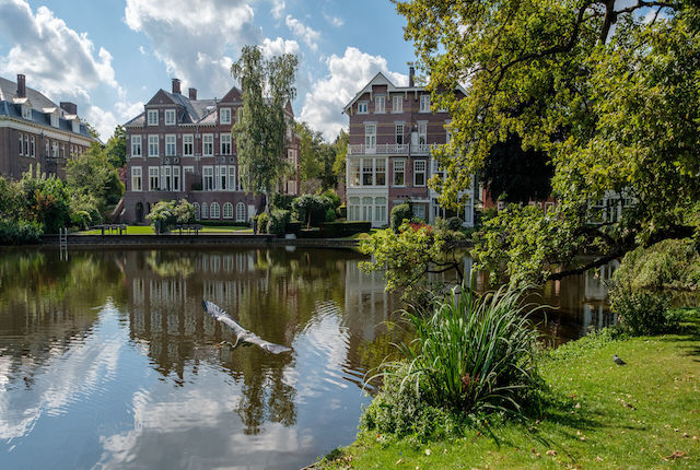Il parco cittadino Vondelpark nel centro di Amsterdam, Paesi Bassi