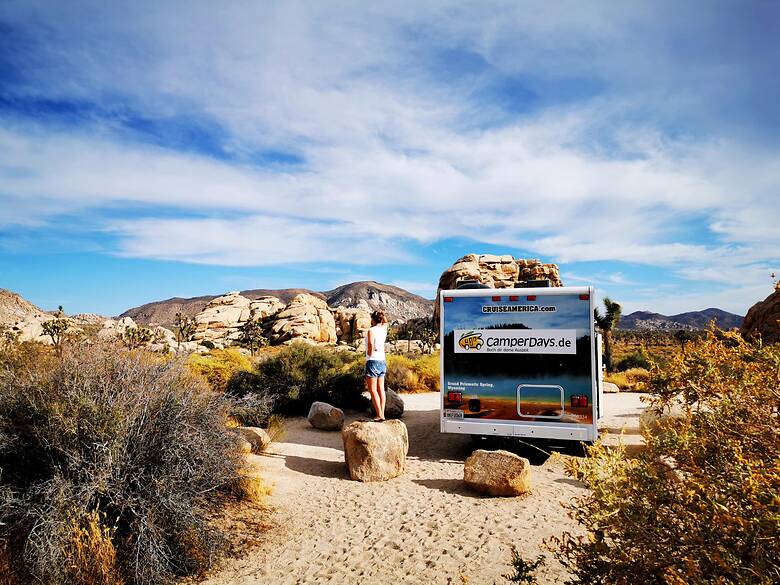 Wohnmobil mit CamperDays-Logo im Joshua Tree Park, USA