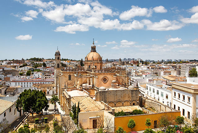 Vista de Jerez de la Frontera con la catedral, España