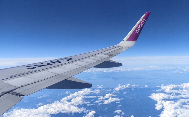 Blick aus dem Flugzeug in Japan