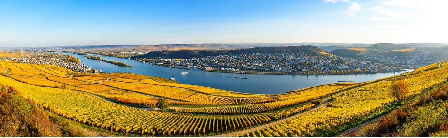 Wohnmobiltour am Rhein entlang: Das ist die schönste Route