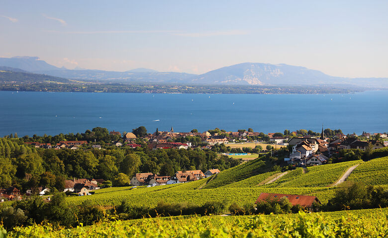 Weinanbaugebiet am Genfersee