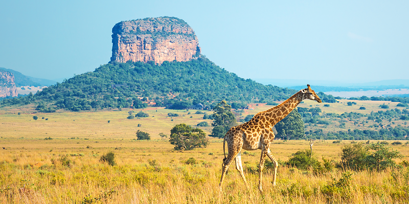 Johannesburg