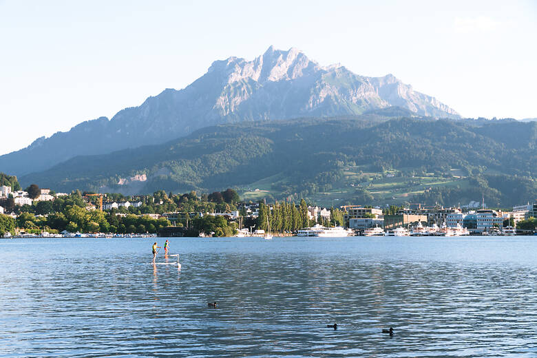 SUPs auf dem Vierwaldstättersee