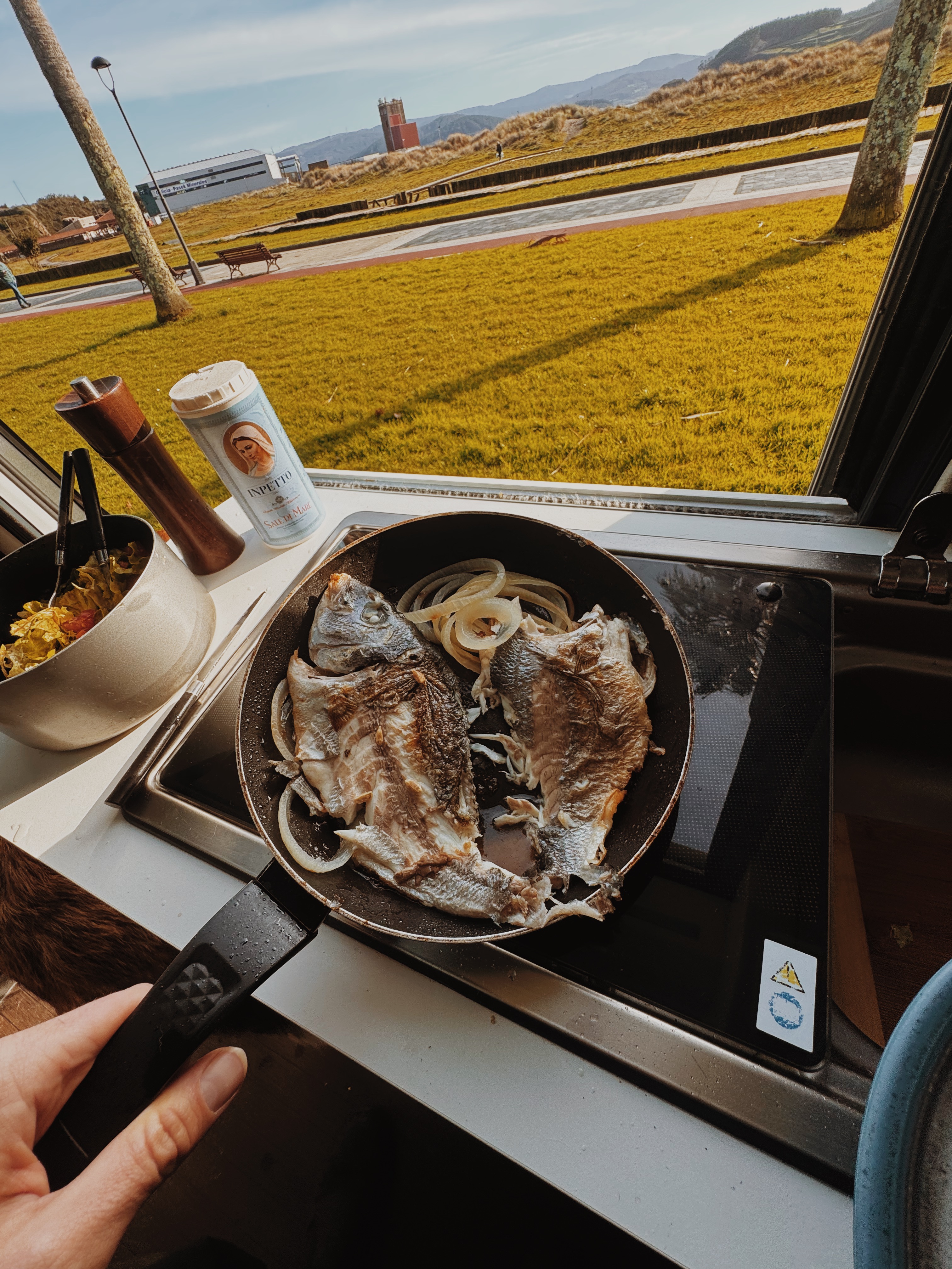Fisch braten in der Pfanne im Wohnmobil