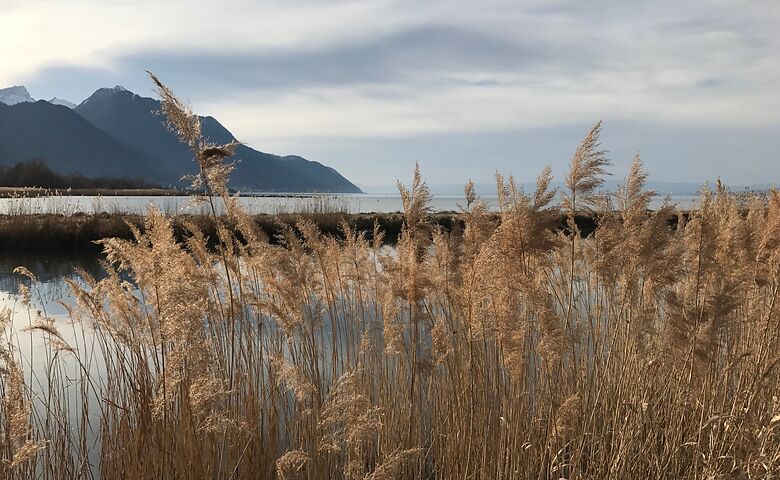 Wandern am Genfersee im Naturschutzgebiet