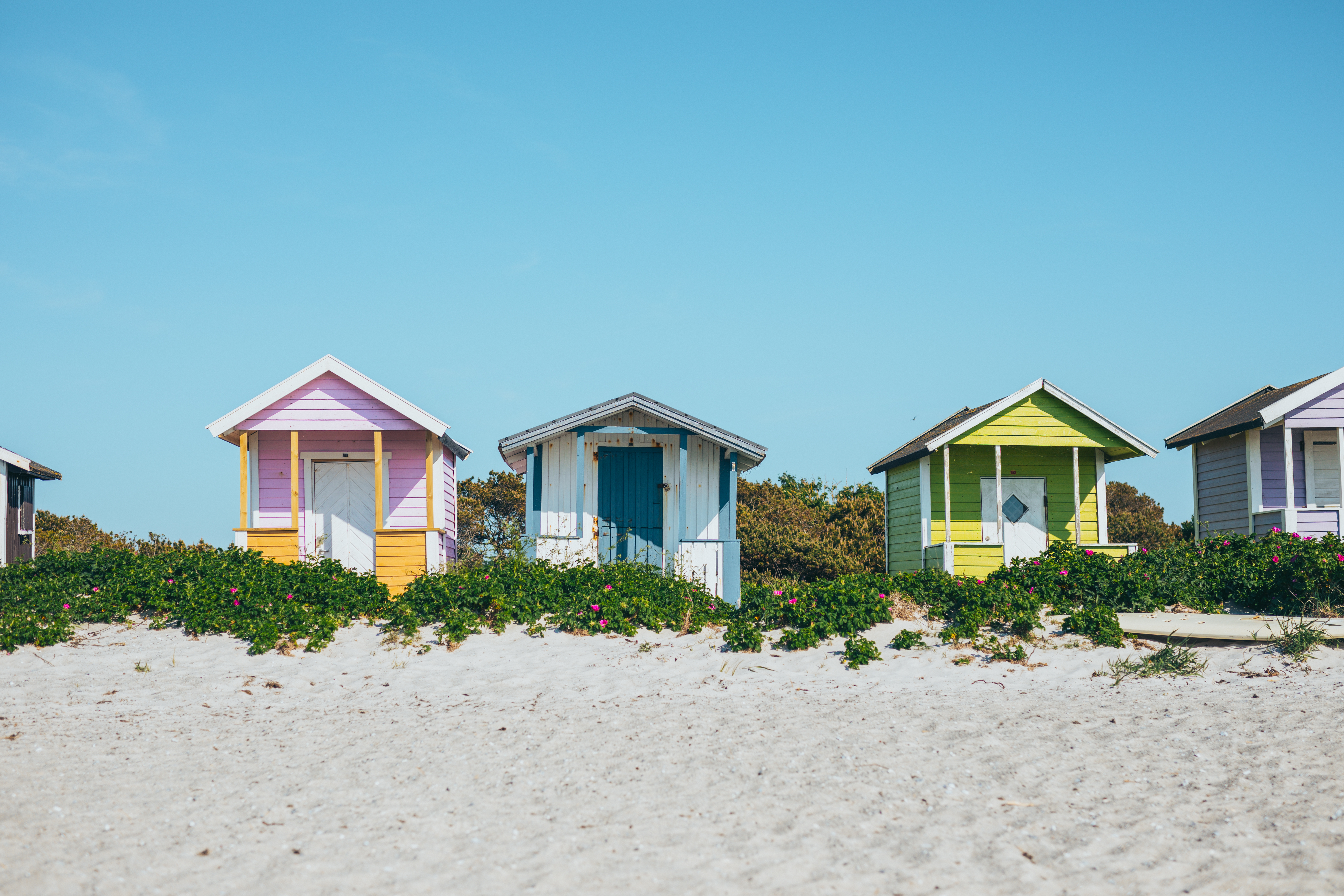Bunte Holzhütten am Strand von Südschweden in Skanör