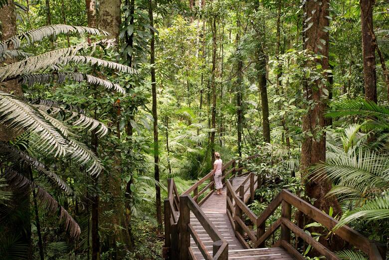 Frau steht in einem Regenwald in Australien