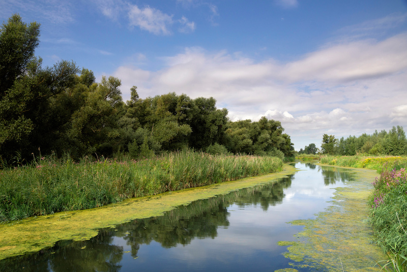 Kajakken en kanoën in De Hoge Veluwe en De Biesbosch  