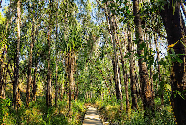 Kakadu National parc in Australia