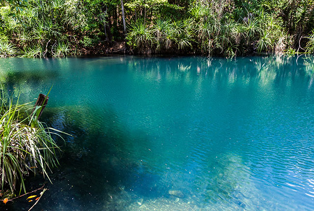 Berry Springs Nature Park, in der Nähe von Darwin Northern Territory