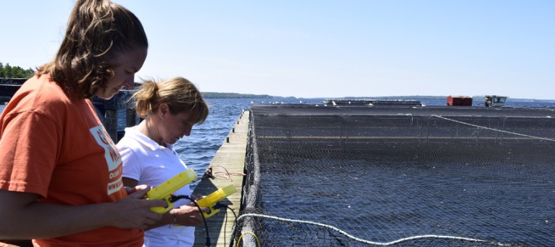 fish farm rov underwater drone inspection