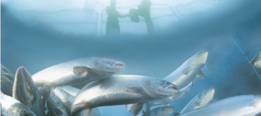 deep trekker aquaculture underwater rov