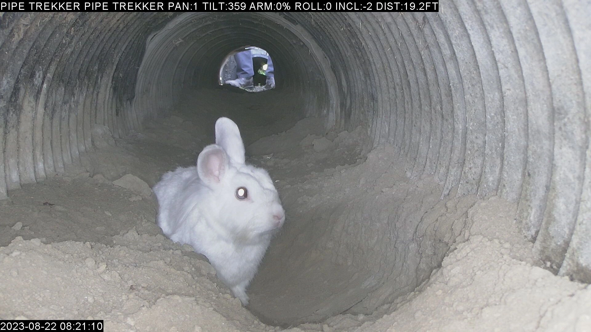 St. Charles Parish Public Works Inspection Discovery