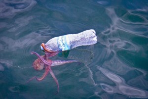 Plastic in the Ocean