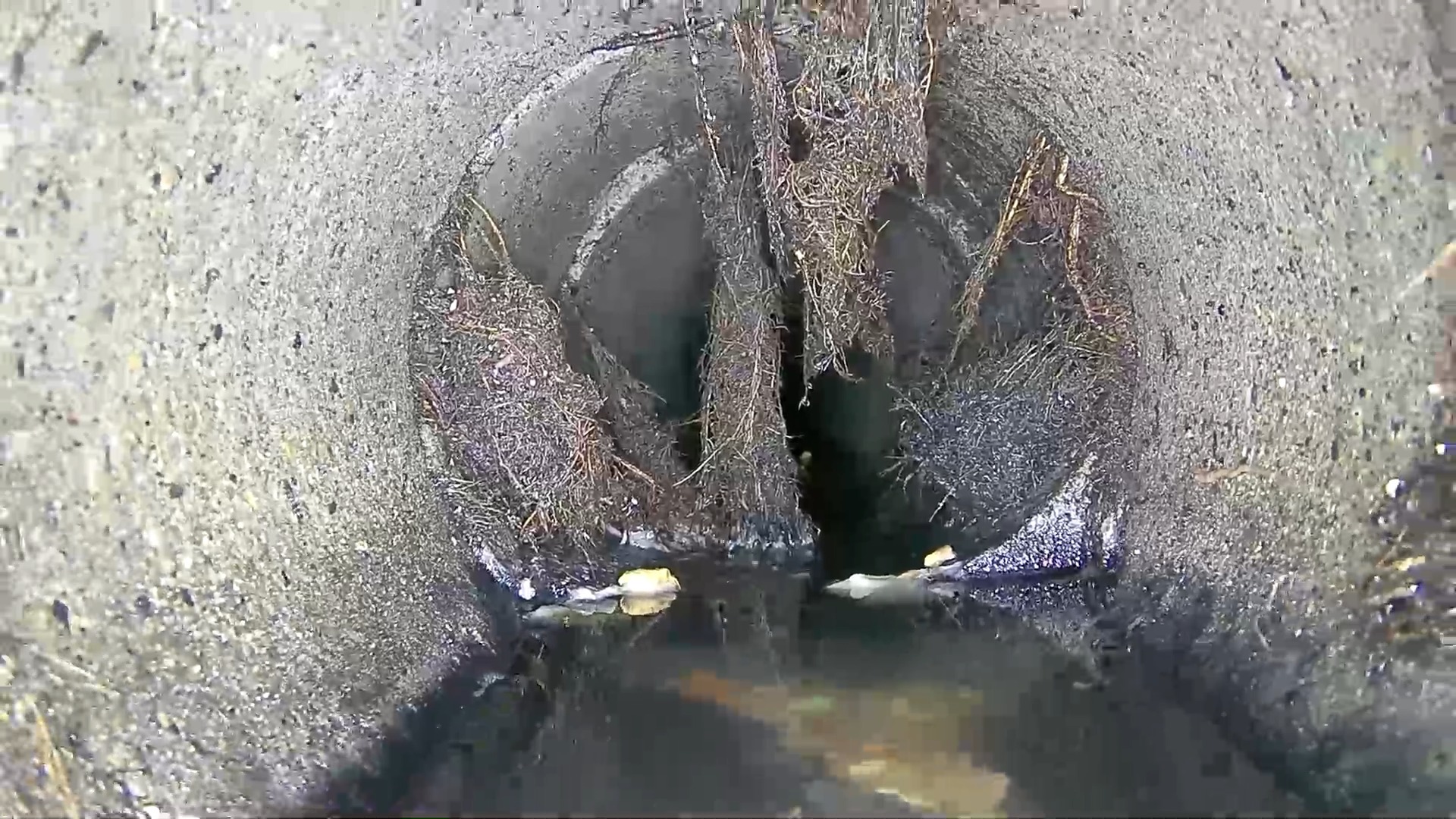 Pipe Inspection Dirt