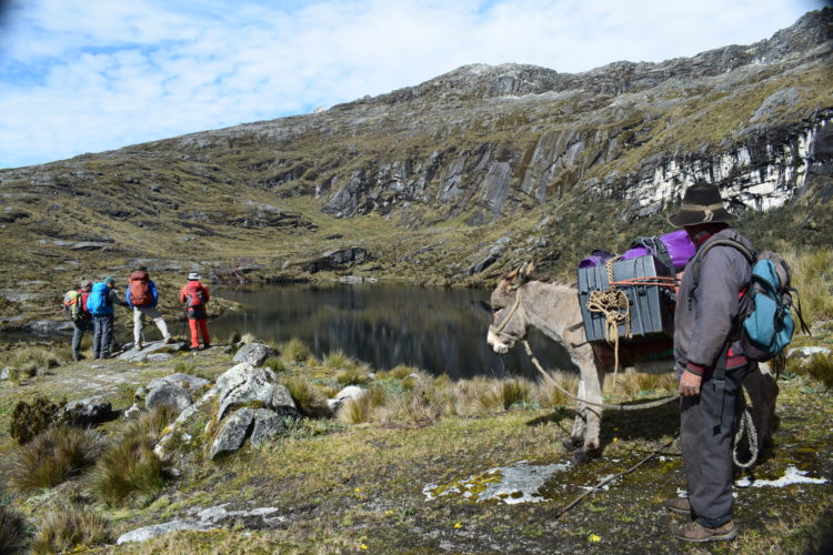 peru search and rescue ROV