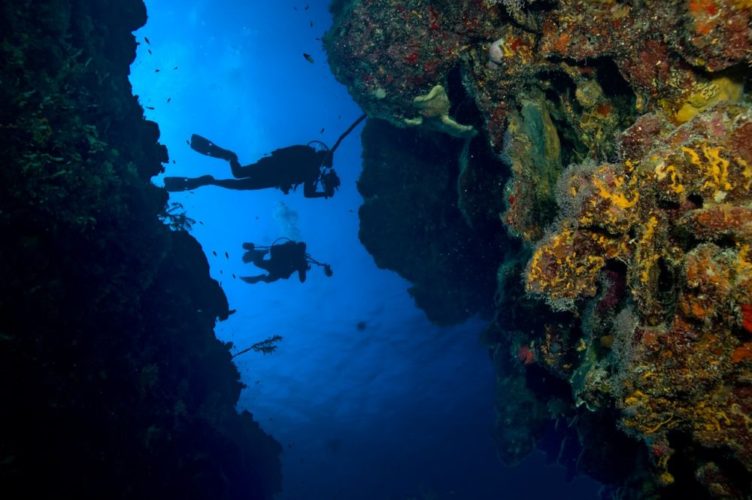 scuba diving cayman island 