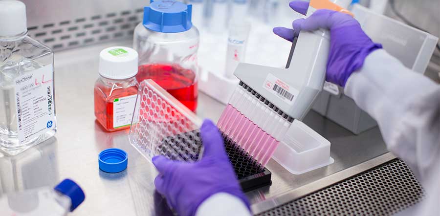 purple gloves emptying test tubes into container