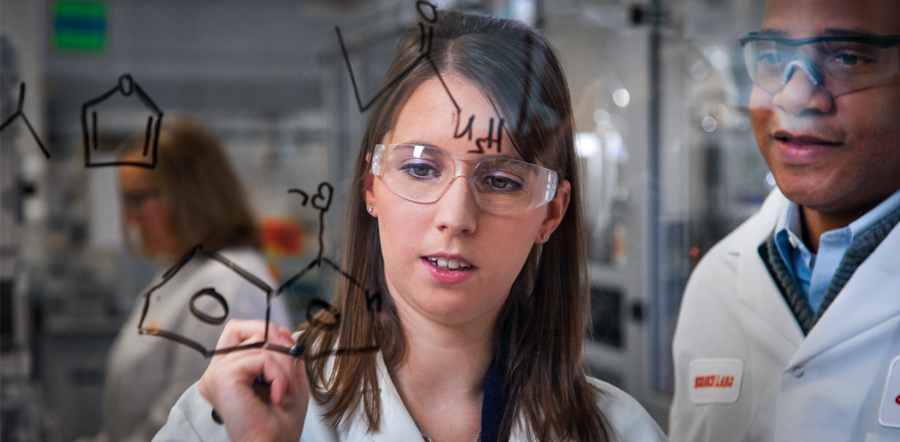 Females and males are using a glass wall to work on a research formula.