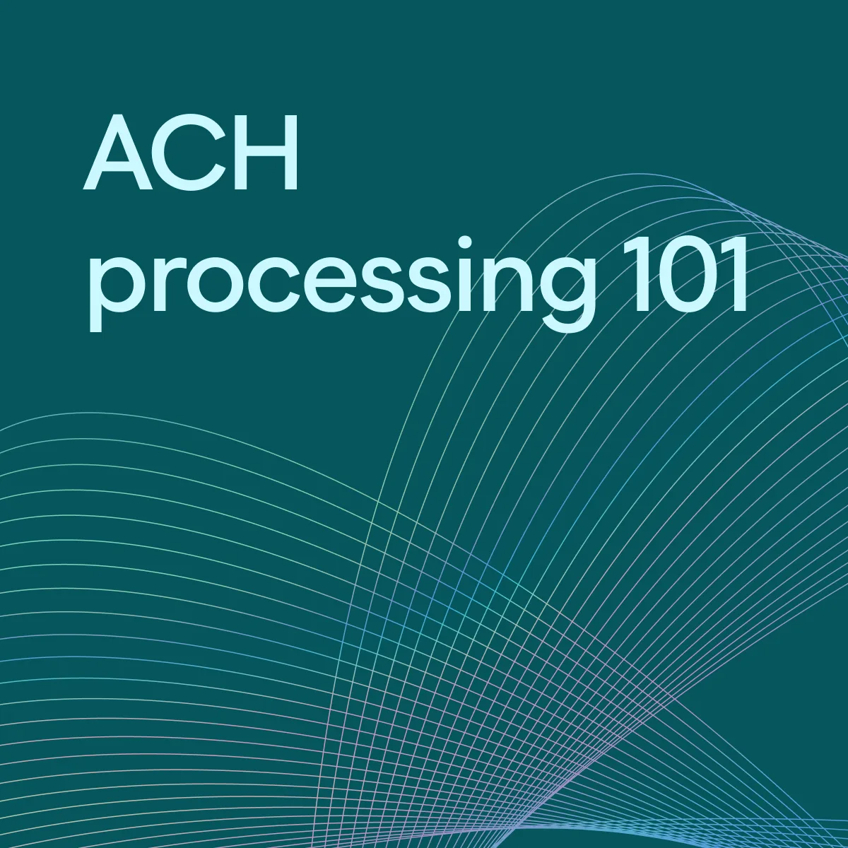 Ach Processing 101 All You Need To Process Ach Payments Plaid Ach Processing 101 All You Need To Process Ach Payments Plaid